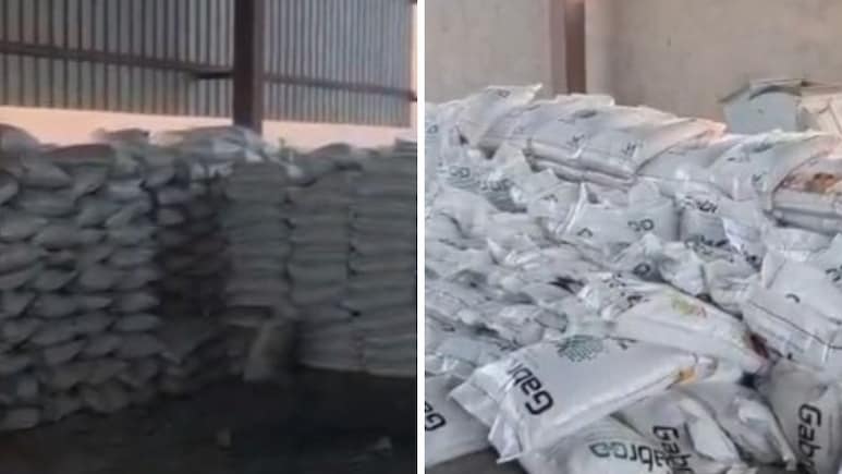 बीकानेर में नकली खाद का भंडाफोड़, जामसर-दाउदसर रोड पर 10 हजार बैग जब्त