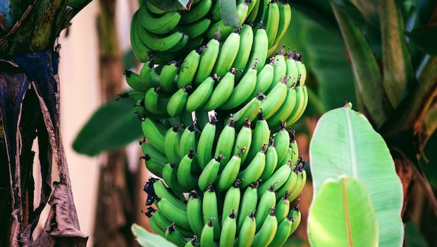 Latest and Breaking News on NDTV Latest and Breaking News on NDTV