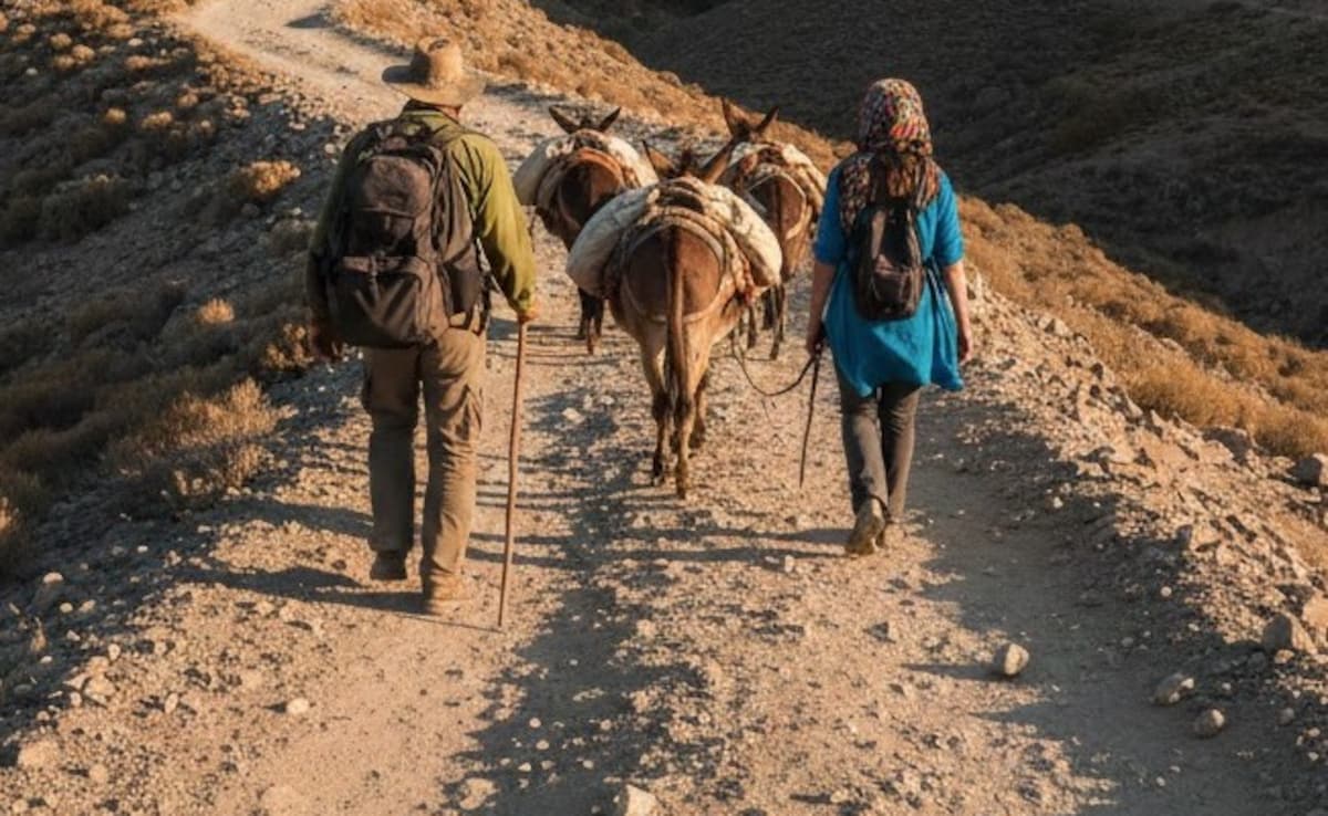 2 Indians On 'Donkey Route', Redirected To Azerbaijan, Tortured On Livestream