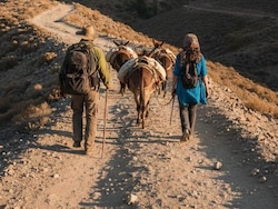 2 Indians On 'Donkey Route' Redirected To Azerbaijan, Tortured On Livestream