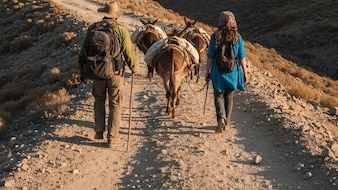 2 Indians On 'Donkey Route' Redirected To Azerbaijan, Tortured On Livestream