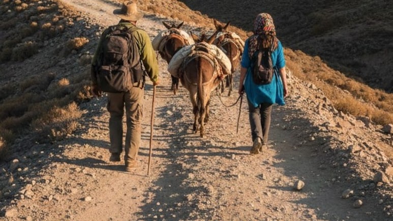 2 Indians On 'Donkey Route' Redirected To Azerbaijan, Tortured On Livestream