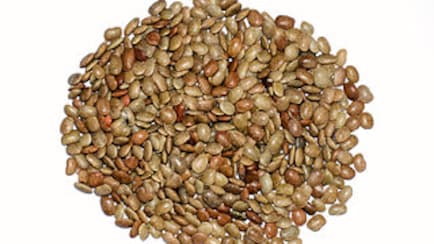 Digestion Boost To Kidney Aid, 5 Health Benefits Of Horse Gram Or Kulthi Dal