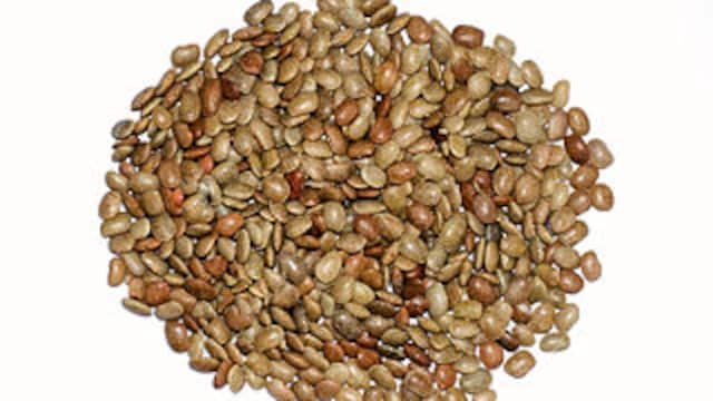 Horse gram, or kulthi dal, is a nutritional superfood that has many health benefits