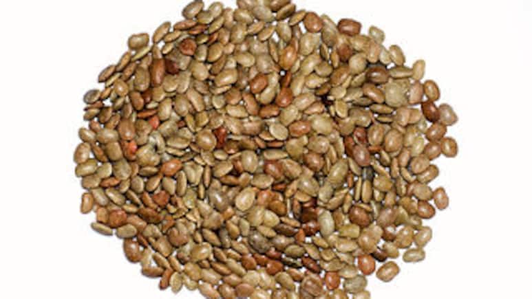 Digestion Boost To Kidney Aid, 5 Health Benefits Of Horse Gram Or Kulthi Dal