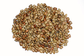 Horse gram, or kulthi dal, is a nutritional superfood that has many health benefits