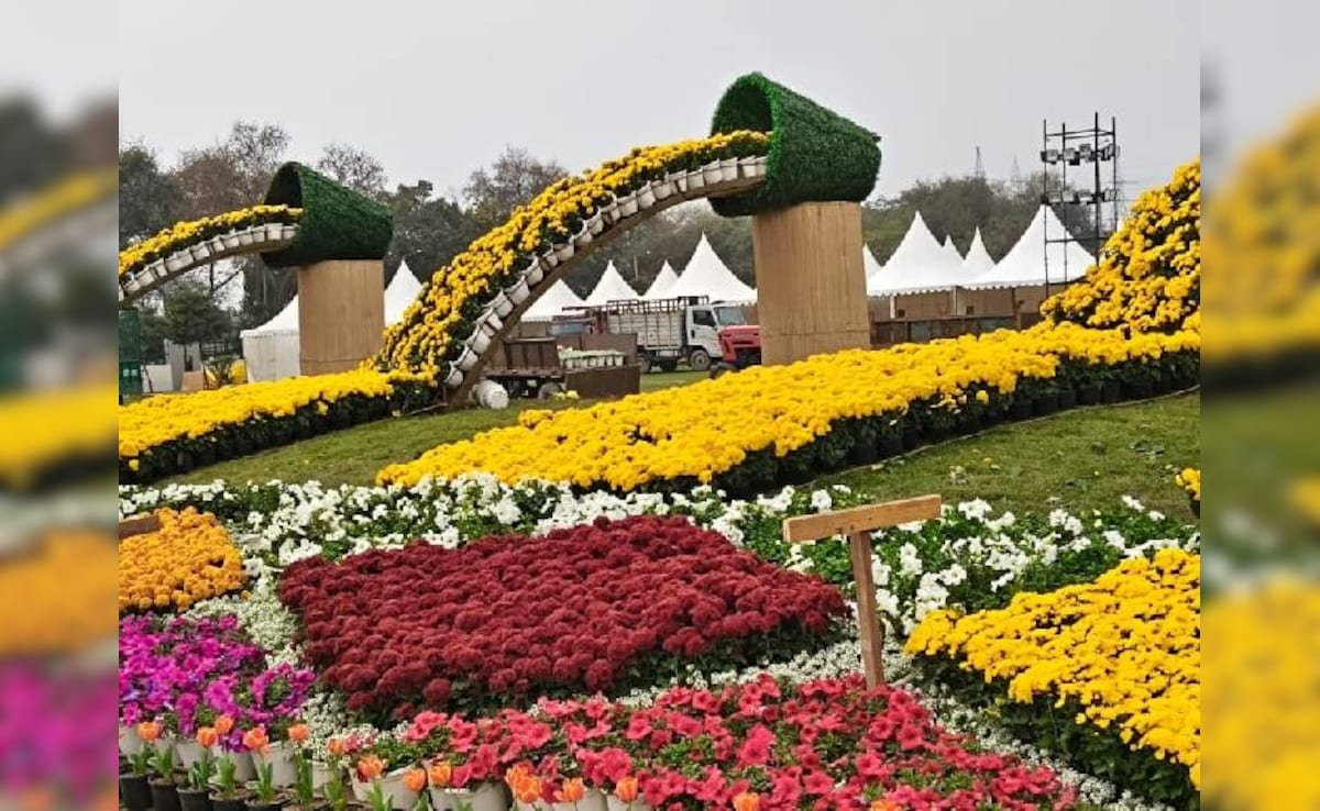 नोएडा में फ्लावर शो 22 फरवरी तक, फूलों से तैयार क&zwj;िया केदारनाथ मंद&zwj;िर, एंट्री फ्री