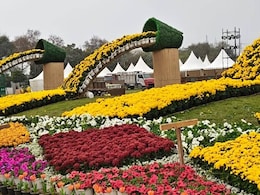 नोएडा में फ्लावर शो 22 फरवरी तक, फूलों से तैयार क&zwj;िया केदारनाथ मंद&zwj;िर, एंट्री फ्री