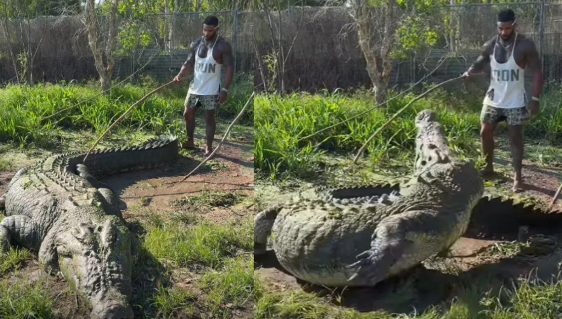 मगरमच्छ को छेड़ना पड़ा भारी! 'पानी के दैत्य' के सामने हीरो बनने चला..सेकंडों में निकली हवा, देख कांप जाएंगे आप