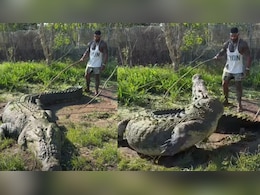 मगरमच्छ को छेड़ना पड़ा भारी! 'पानी के दैत्य' के सामने हीरो बनने चला..सेकंडों में निकली हवा, देख कांप जाएंगे आप