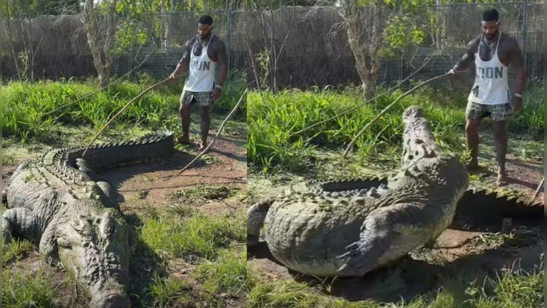 मगरमच्छ को छेड़ना पड़ा भारी! 'पानी के दैत्य' के सामने हीरो बनने चला..सेकंडों में निकली हवा, देख कांप जाएंगे आप