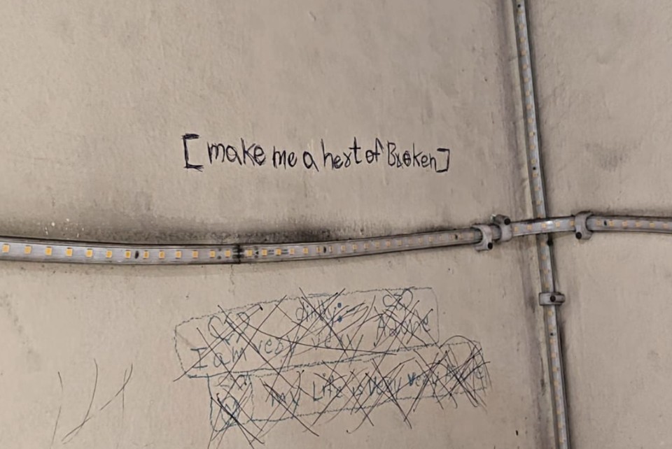 I am very alone... सुसाइड करने वाली गाजियाबाद की तीन बहनों ने घर की दीवारों पर लिखी ये बात