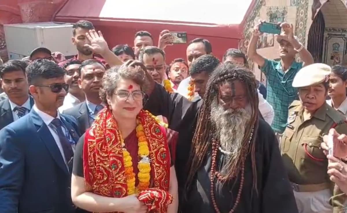 The Art of Baking: From Classic Bread to Artisan Pastries