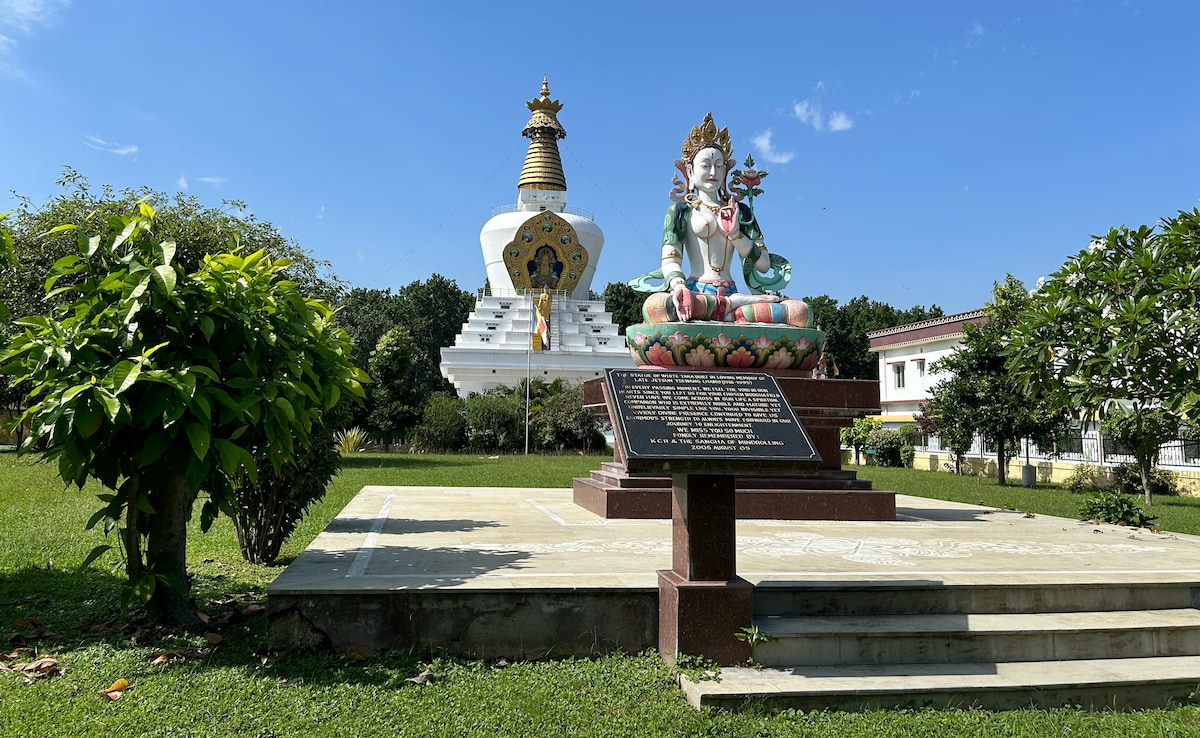 Latest and Breaking News on NDTV Latest and Breaking News on NDTV