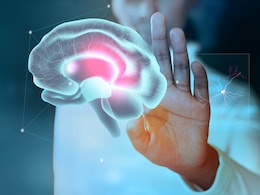 Harvard's Proven 5-Step Formula For Sharper Memory Doesn't Depend On Supplements