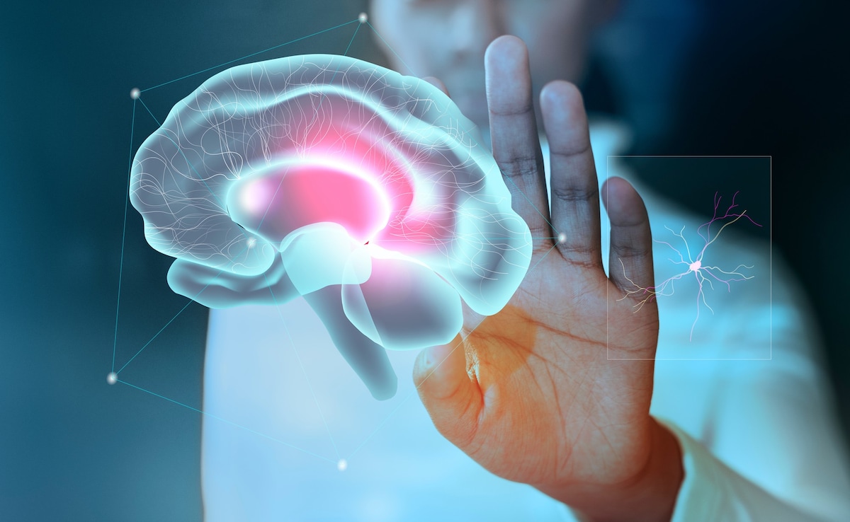 The Art of Baking: From Classic Bread to Artisan Pastries