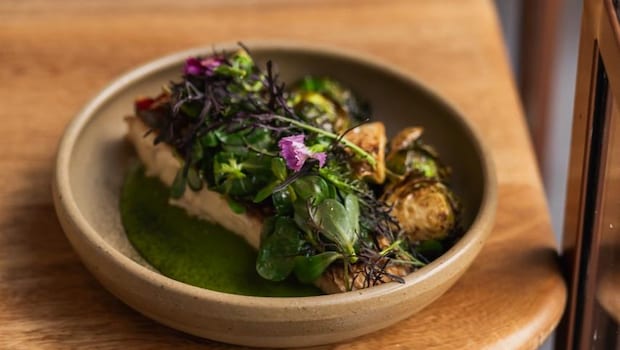 Latest and Breaking News on NDTV Latest and Breaking News on NDTV