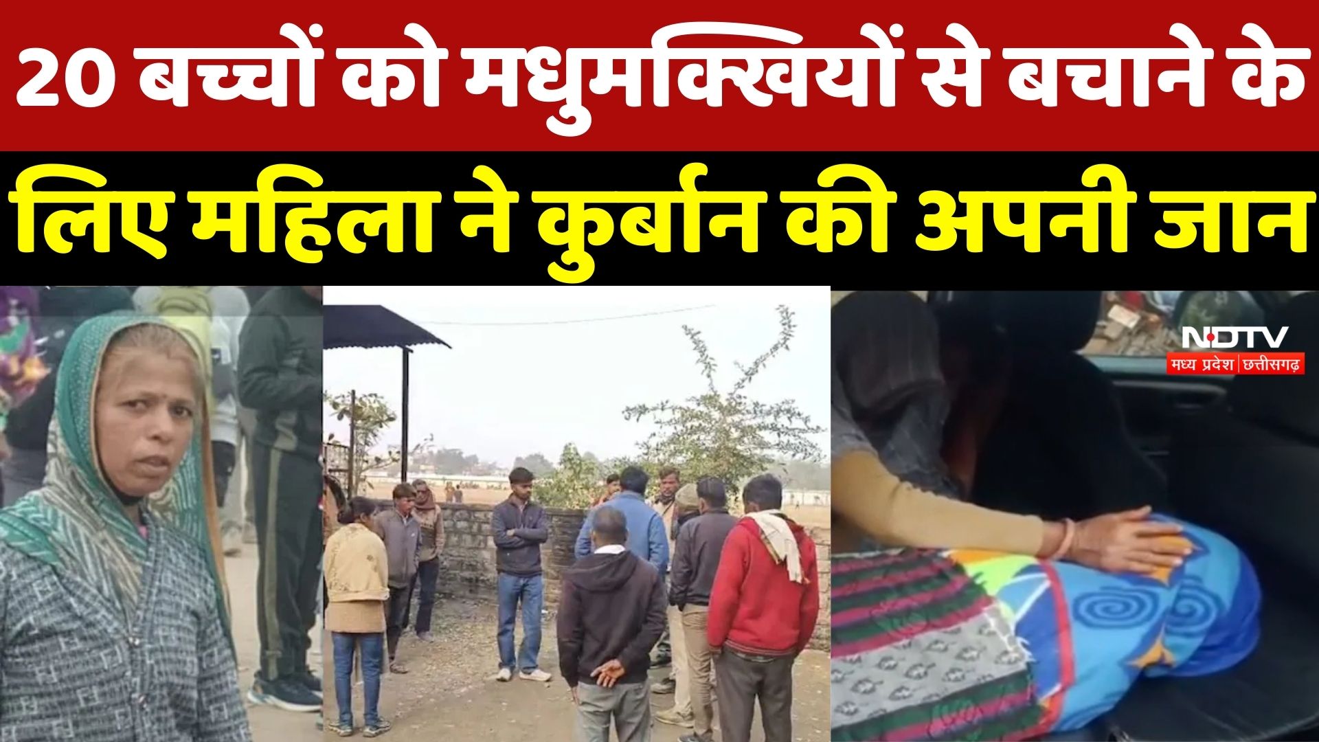 Neemuch News : Bees से लड़कर 20 बच्चों की बचाई जान, हजारों डंक से कंचन बाई की मौत