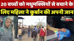 Neemuch News : Bees से लड़कर 20 बच्चों की बचाई जान, हजारों डंक से कंचन बाई की मौत