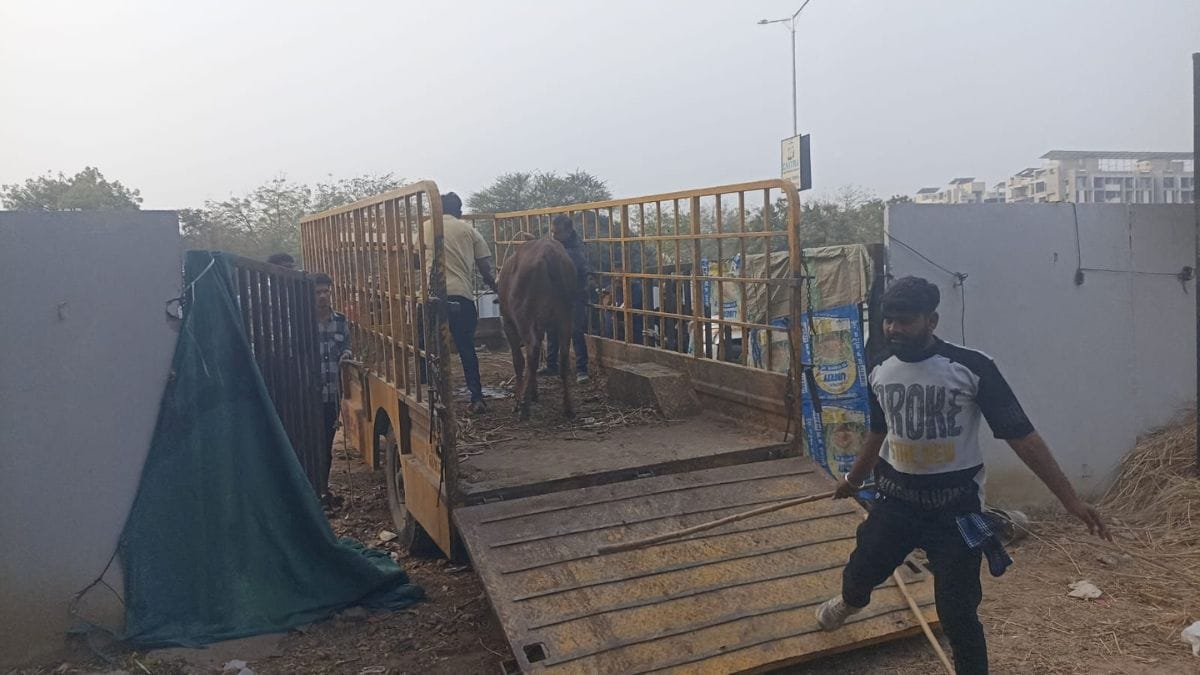 Latest and Breaking News on NDTV