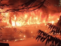 दिल्ली के विकासपुरी में मच्छर भगाने वाली अगरबत्ती से बस में लगी आग, अंदर सो रहे हेल्पर की जलकर मौत