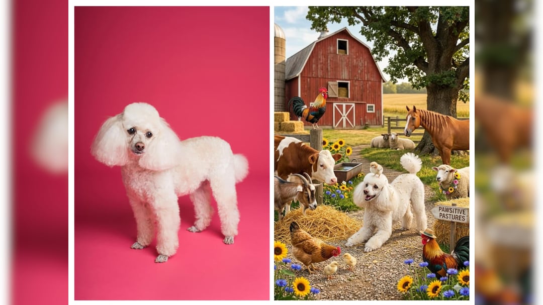 Nano Banana 2 prompt for pets in farm.