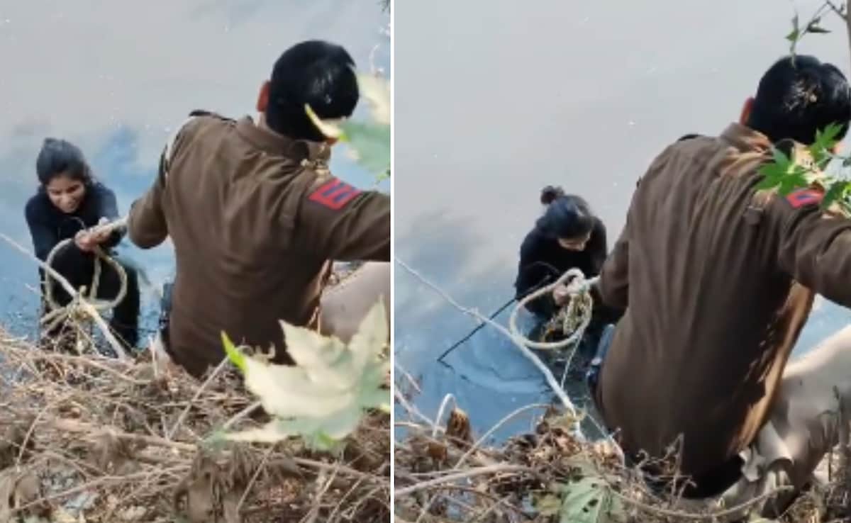 The Art of Baking: From Classic Bread to Artisan Pastries