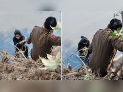 Not The Reel She Planned: On Camera, Police Pull Woman Out After Gutter Fall