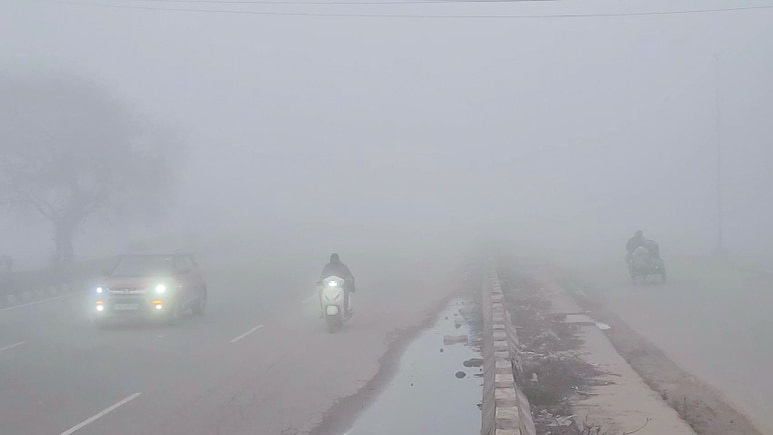 विजिबिलिटी होगी जीरो! पंजाब से बिहार तक घने कोहरे की चेतावनी, जानें आपके राज्य का मौसम