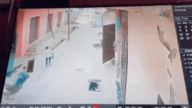 बाप रे ये कैसी दुश्मनी! ग्रेटर नोएडा में शख्स को दौड़ा-दौड़ाकर गोलियों से भूना, मौत का खौफनाक वीडियो