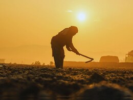 Navi Mumbai : आखाती देशातील युद्धामुळे शेतकऱ्यांवर मोठी संक्रांत; अंगावर काटा आणणारं बाजारातील दृश्य
