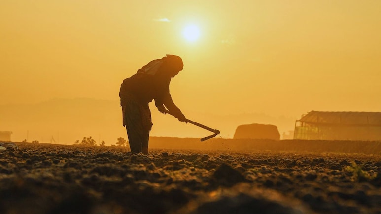 Navi Mumbai : आखाती देशातील युद्धामुळे शेतकऱ्यांवर मोठी संक्रांत; अंगावर काटा आणणारं बाजारातील दृश्य