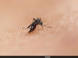 Gujarat Records Massive 92% Drop In Malaria Cases Over Last Decade