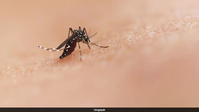 Gujarat Records Massive 92% Drop In Malaria Cases Over Last Decade