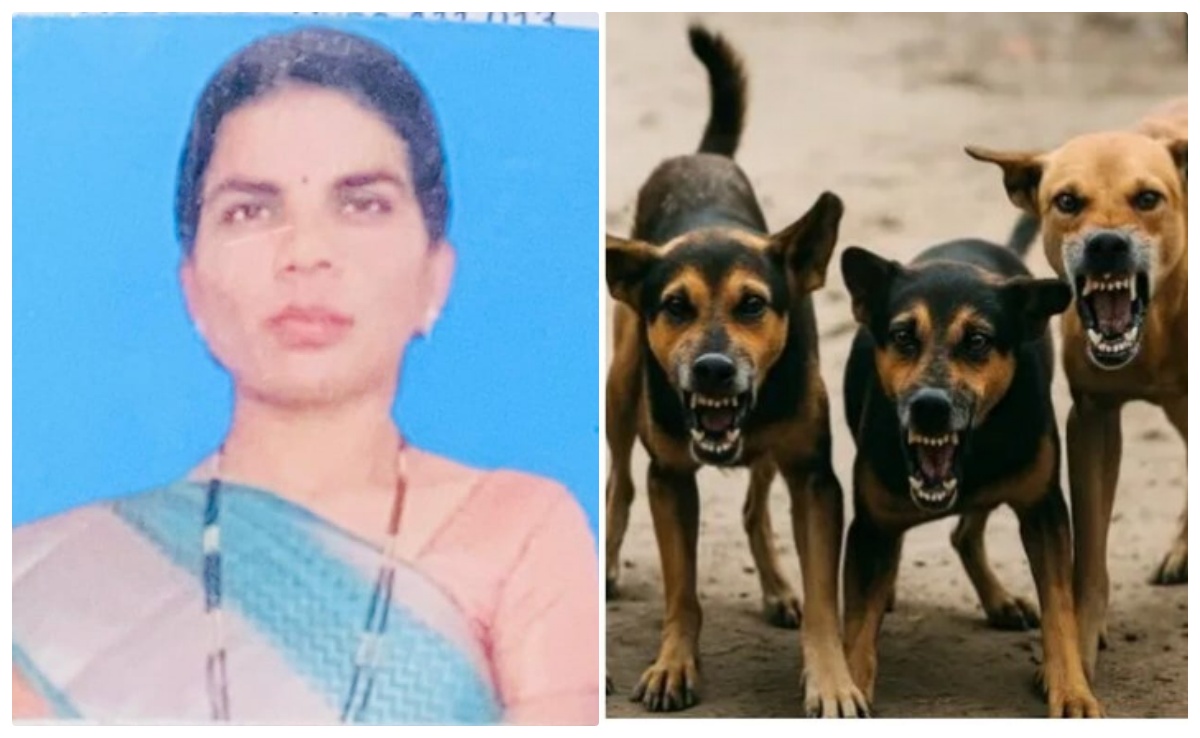पुणे में आवारा कुत्तों ने राह चलती महिला के हाथ, पैर, चेहरे और गर्दन को बुरी तरह नोंचा, दर्दनाक मौत