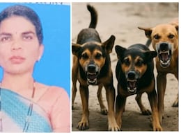 पुणे में आवारा कुत्तों ने राह चलती महिला के हाथ, पैर, चेहरे और गर्दन को बुरी तरह नोंचा, दर्दनाक मौत