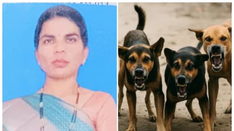 पुणे में आवारा कुत्तों ने राह चलती महिला के हाथ, पैर, चेहरे और गर्दन को बुरी तरह नोंचा, दर्दनाक मौत