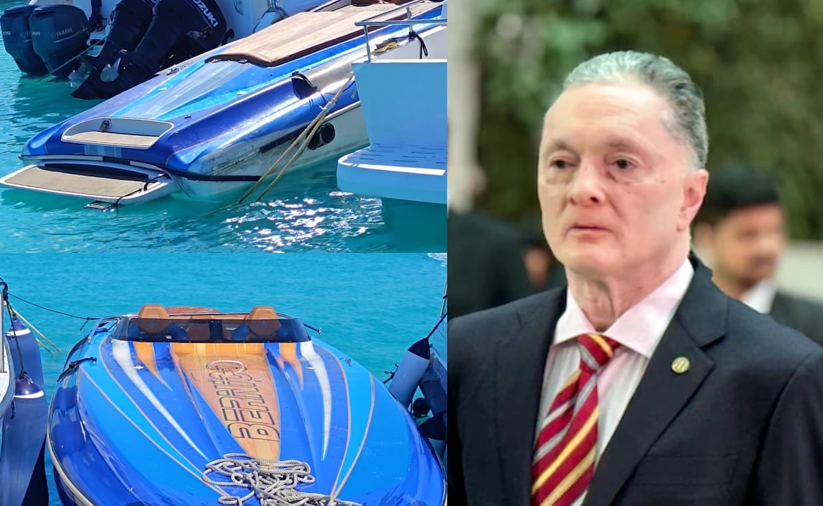 The Art of Baking: From Classic Bread to Artisan Pastries