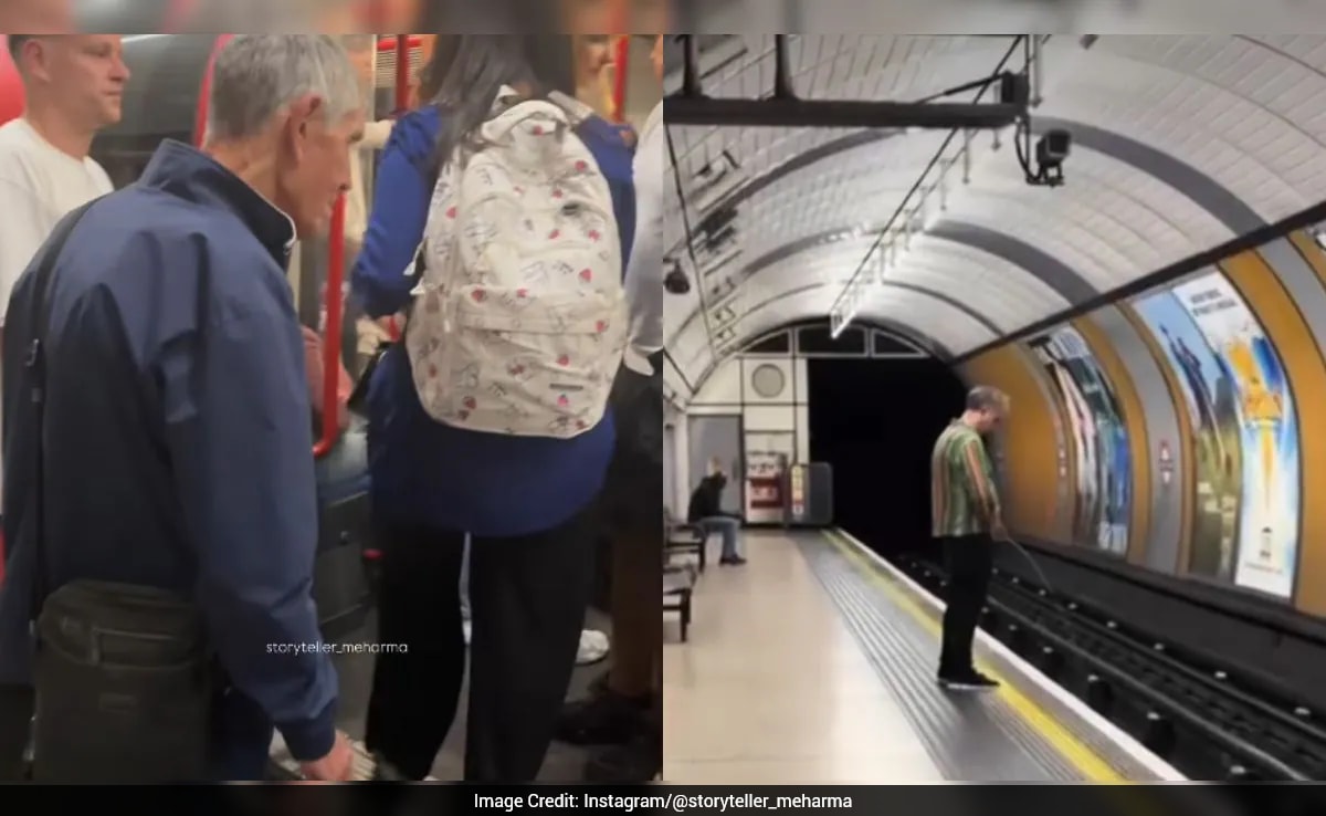 The Art of Baking: From Classic Bread to Artisan Pastries