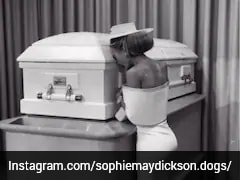 UK Teen Dies By Suicide After Online Abuse, Mother Faces Backlash