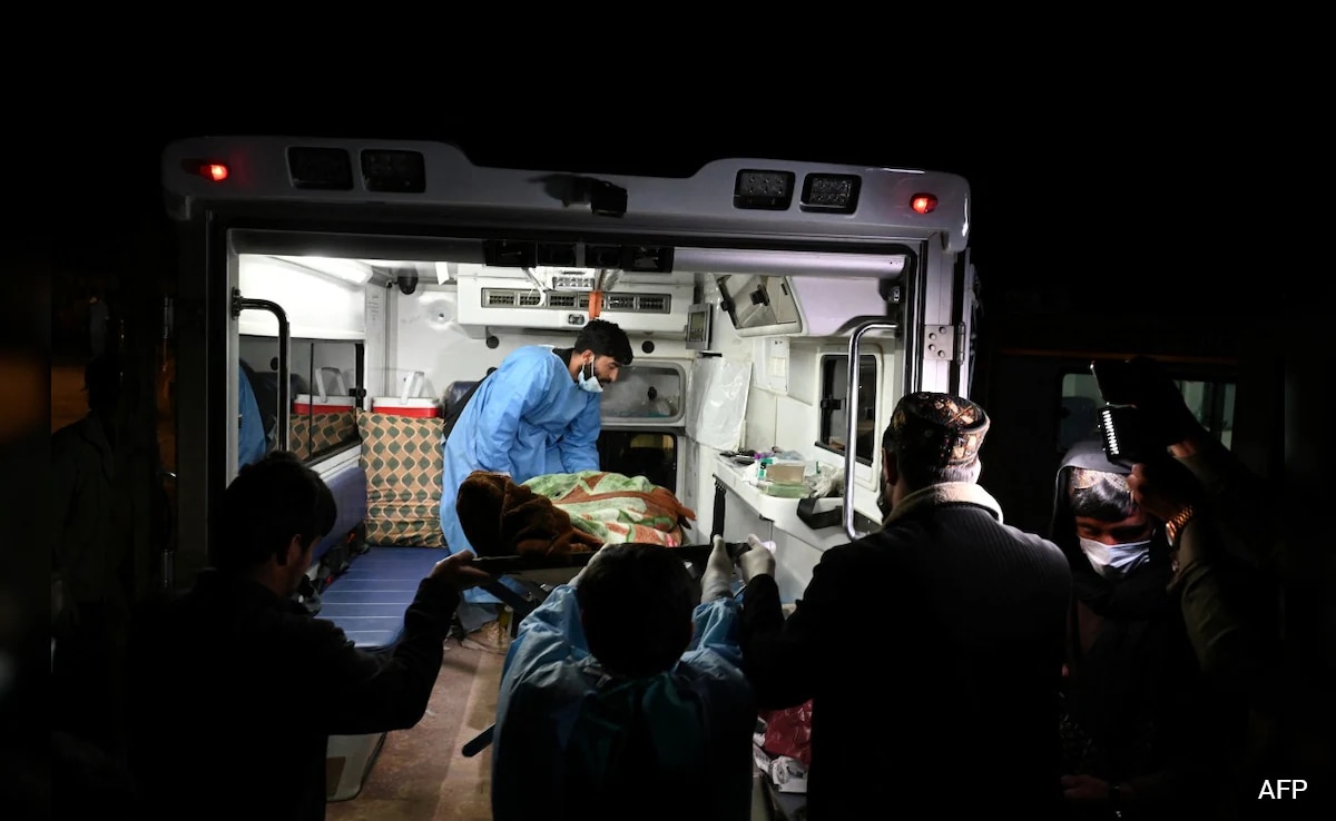 The Art of Baking: From Classic Bread to Artisan Pastries