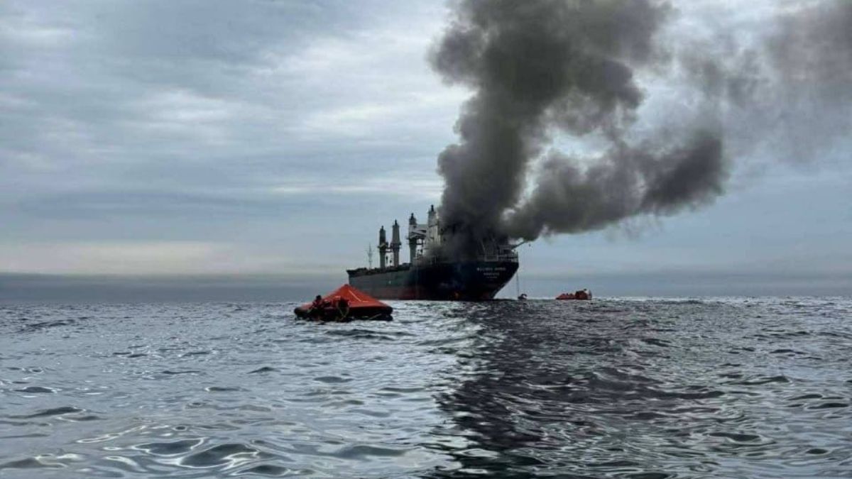 'Deplore Targeting Of Commercial Shipping': India On Hormuz Ship Attack