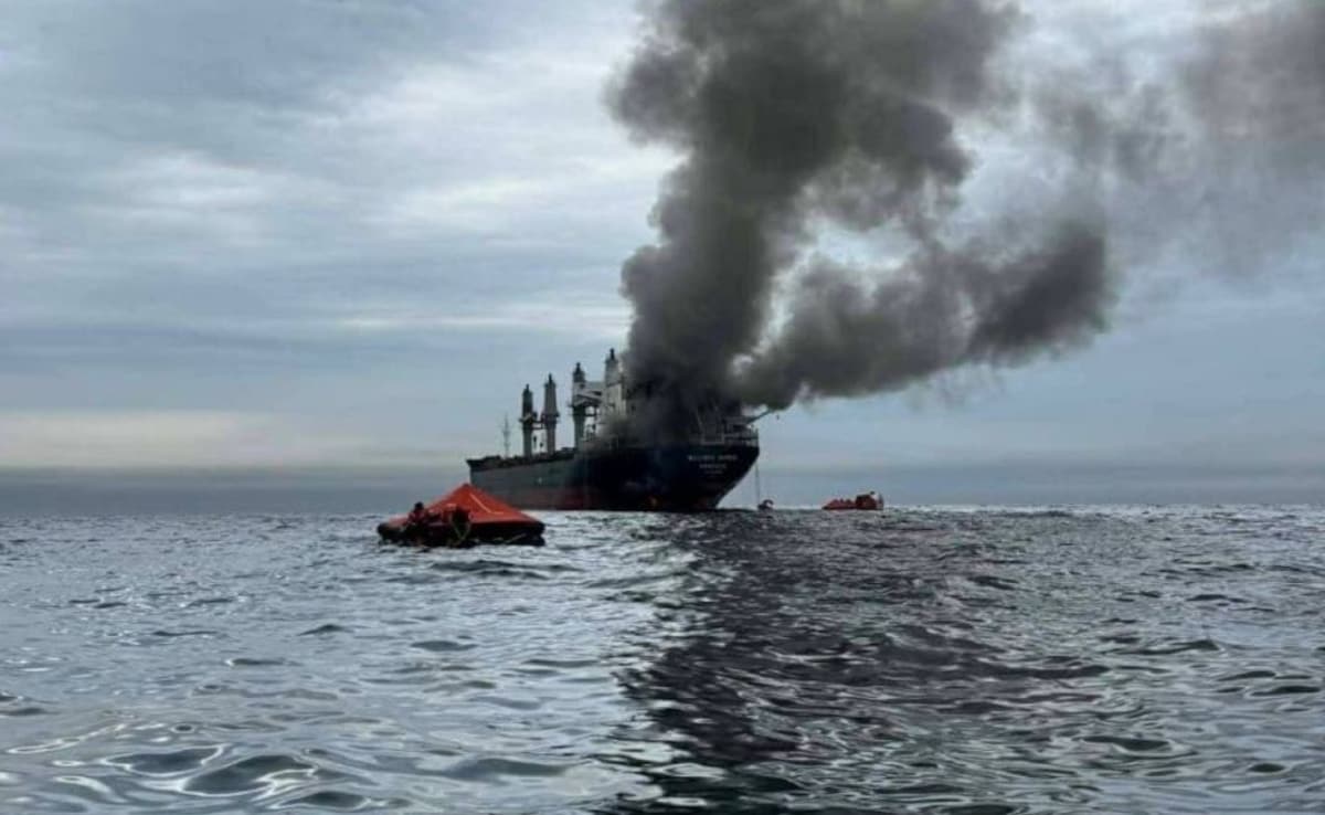 "Deplore Targeting Of Commercial Shipping": India On Hormuz Ship Attack