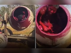 होली खेलने का ये कैसा तरीका! रंग से भरे सीमेंट मिक्सर में डालकर घुमाया, अंदर नाचता दिखा लड़का