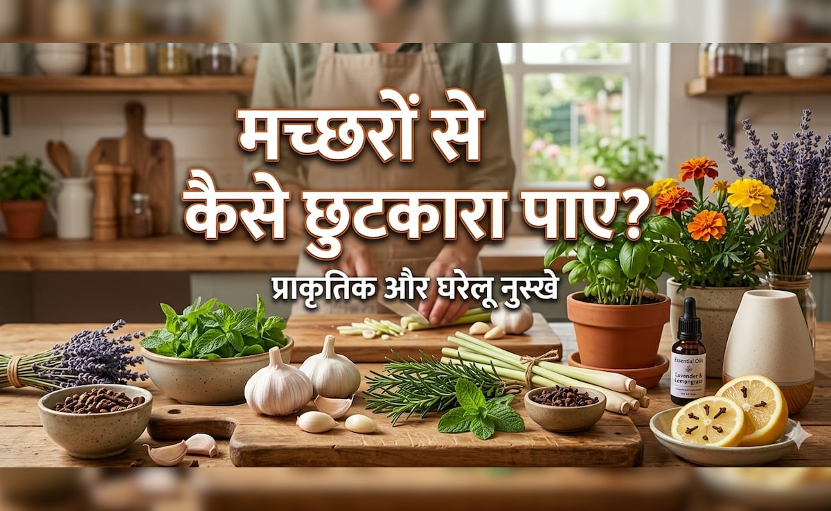 शाम होते ही घर की खिड़की और दरवाजे से हमला बोलते हैं मच्छर, तो आज ही करें यह देसी उपाय...