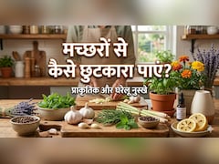 शाम होते ही घर की खिड़की और दरवाजे से हमला बोलते हैं मच्छर, तो आज ही करें यह देसी उपाय...