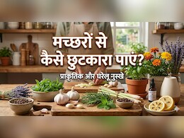 शाम होते ही घर की खिड़की और दरवाजे से हमला बोलते हैं मच्छर, तो आज ही करें यह देसी उपाय...