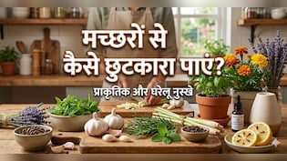 शाम होते ही घर की खिड़की और दरवाजे से हमला बोलते हैं मच्छर, तो आज ही करें यह देसी उपाय...