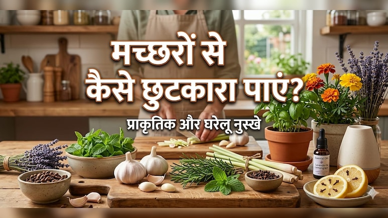 शाम होते ही घर की खिड़की और दरवाजे से हमला बोलते हैं मच्छर, तो आज ही करें यह देसी उपाय...