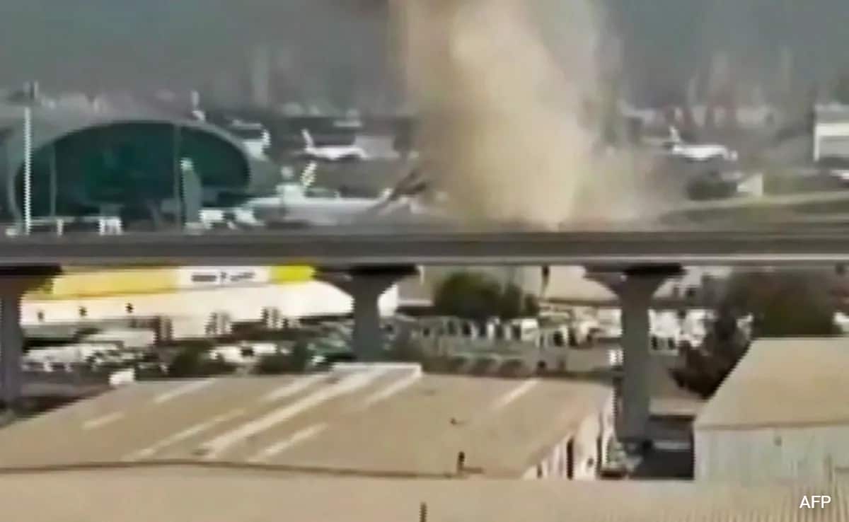 The Art of Baking: From Classic Bread to Artisan Pastries